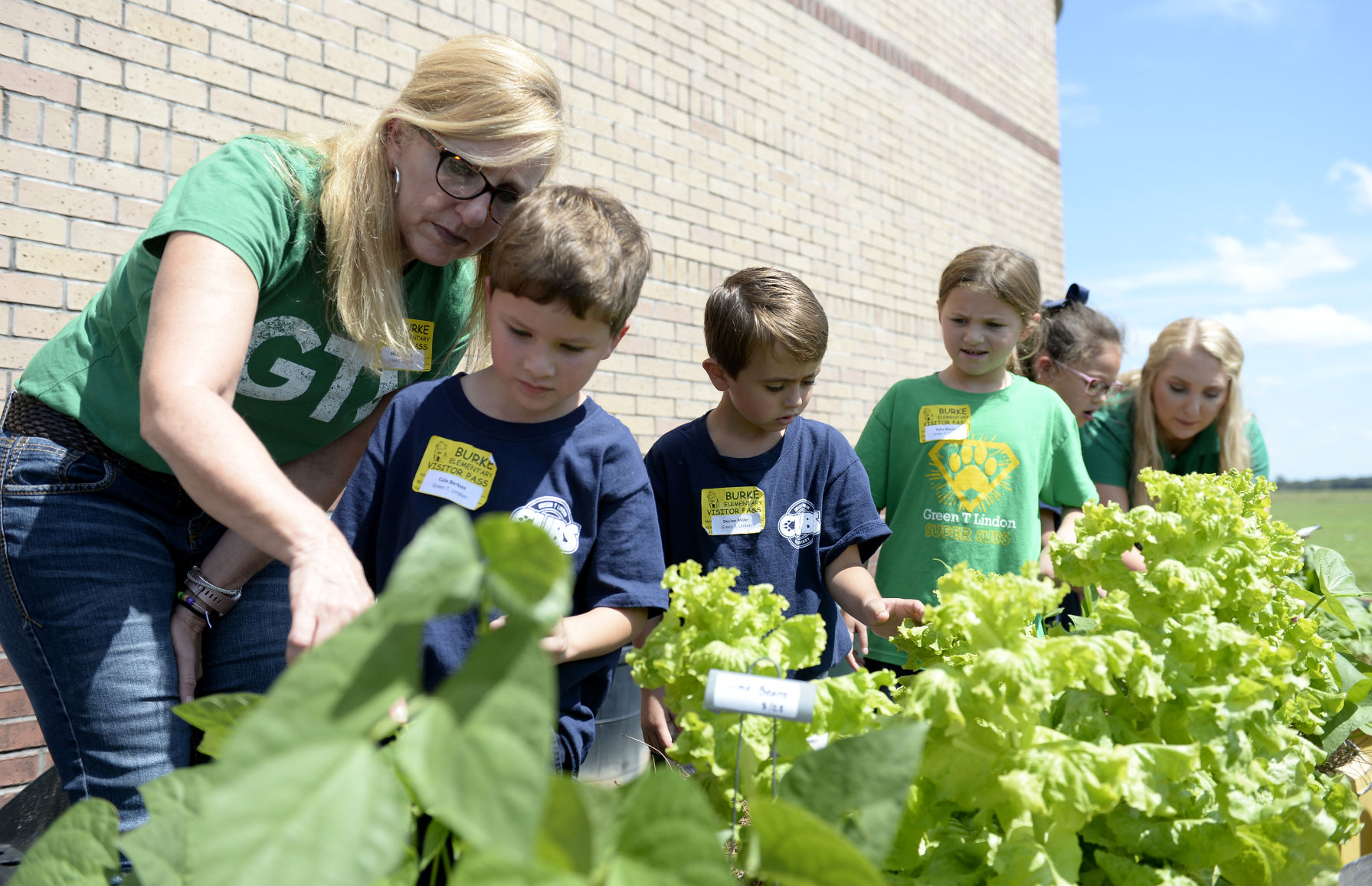 ACA.schoolgardens003.adv.jpg